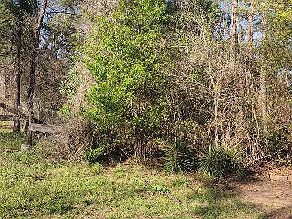4th image of LOT 7 Sweetleaf Ln