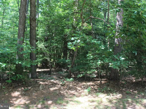 104 Custom Dr, Greenbackville, VA 23356