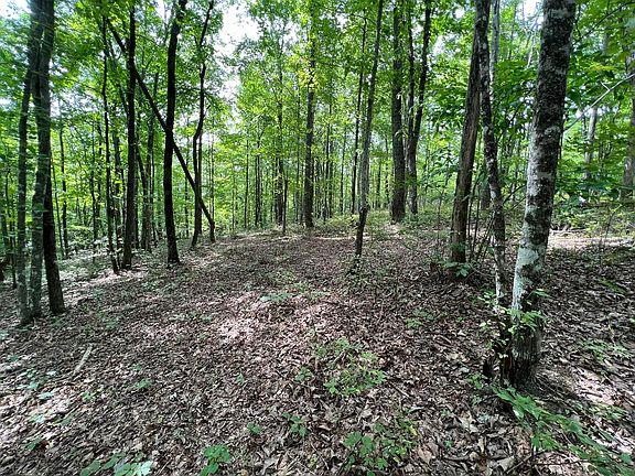 3rd image of 0 Wilderness Way #545