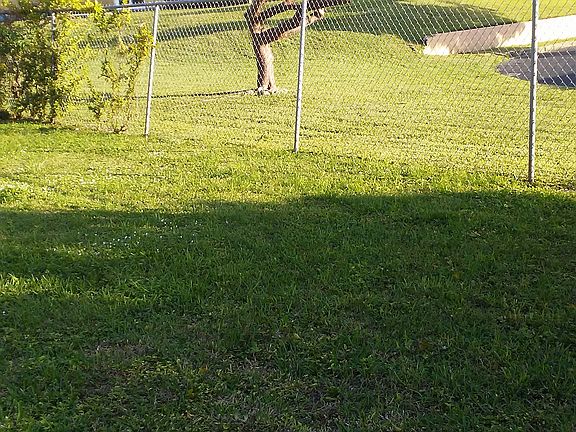 3rd image of 9440 Montego Bay Dr