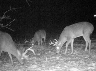 7269 Brown Rd, Kettle River, MN 55757