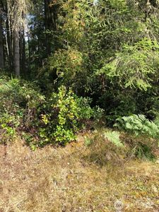 11419 Leschi Circle, Anderson Island, WA, 98303