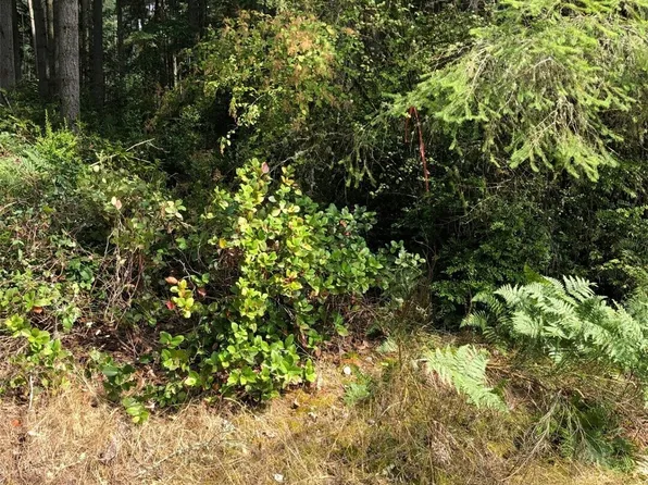 11419 Leschi Circle, Anderson Island, WA 98303