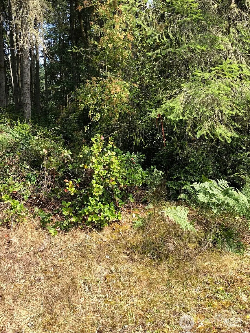 11419 Leschi Circle photo 1
