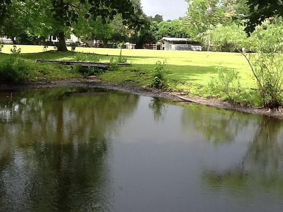 4th image of 121 Brentwood Dr