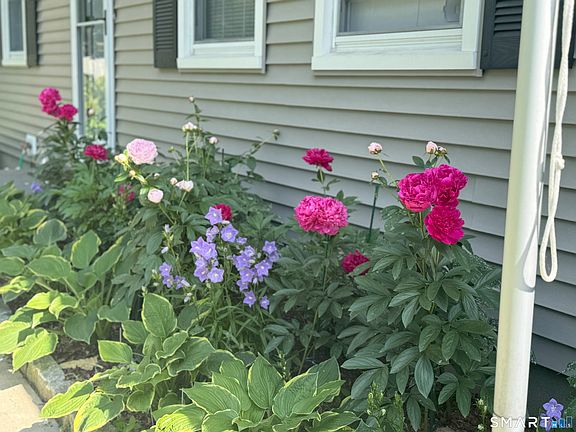 2nd image of 38 Vernon Road