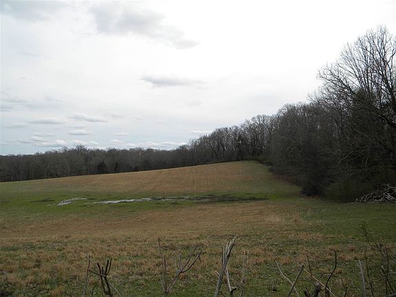 5th image of 264 County Rd
