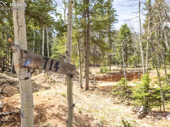 714 Will Stutley Dr, Divide, CO 80814