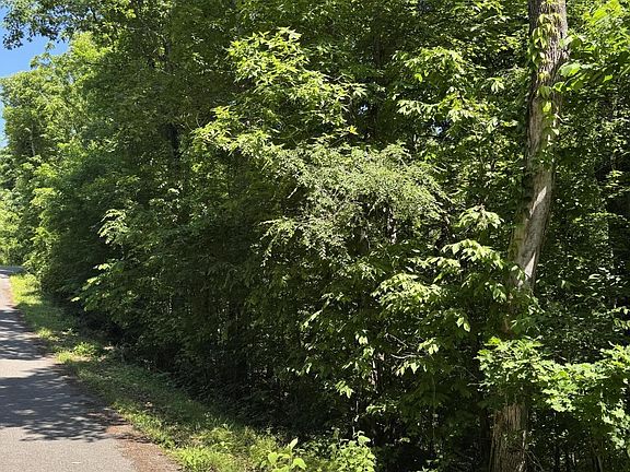 4th image of 0 Muddy Creek Rd Lot 1