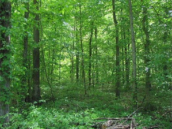 5th image of 1922 Hickory Ln