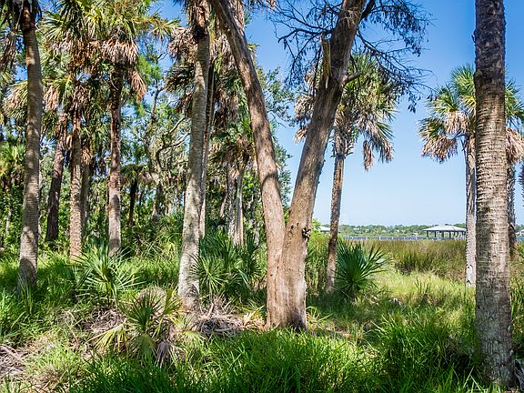 3rd image of 2817 Osprey Cove Dr