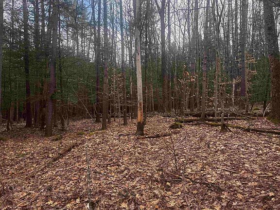 5th image of 00 Chapman Road