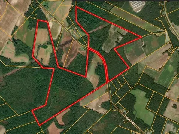 Gaddy Rd, Fairmont, NC 28340