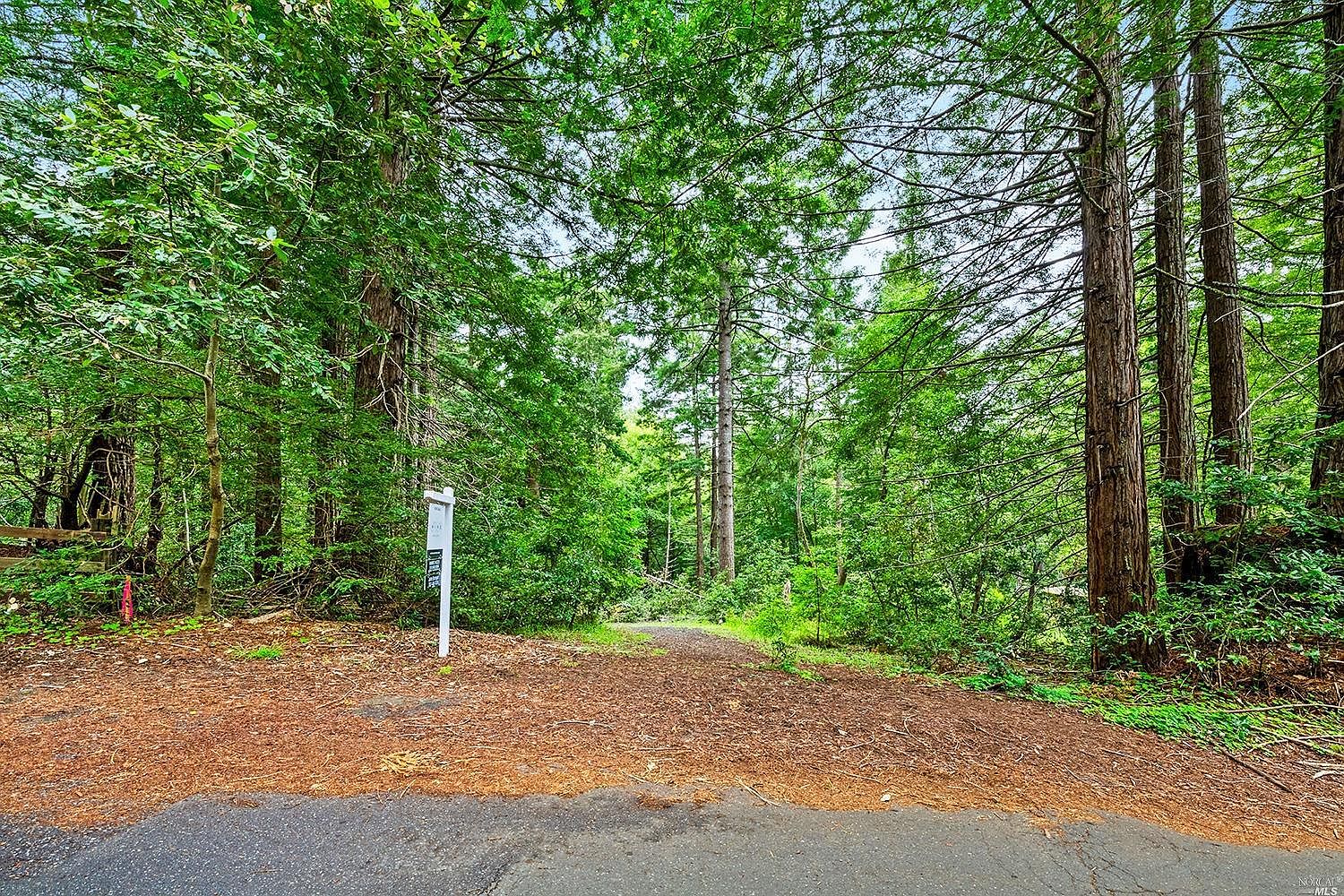 17000 Jennifer Dr, Occidental, CA 95465 Zillow