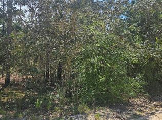 0 NE 67th Ln LOT 1, Bronson, FL 32621