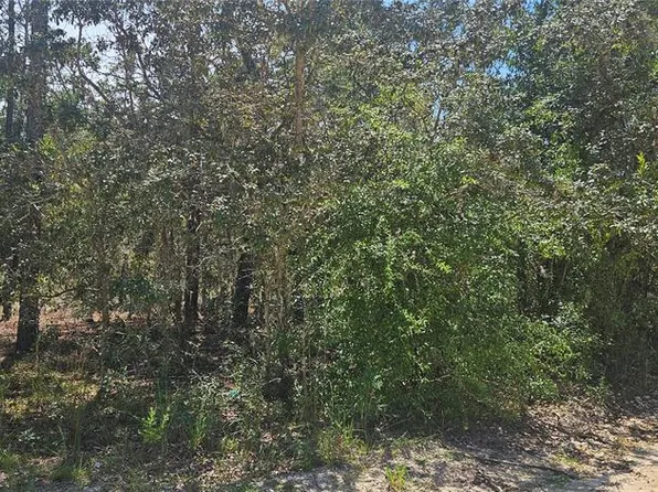 0 NE 67th Ln Lot 1, Bronson, FL 32621