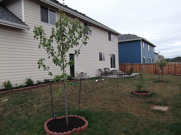 Back yard