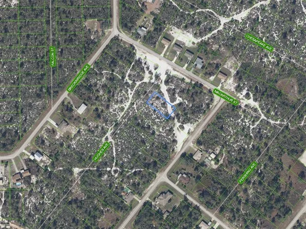 1073 Hughes Ave, Lake Placid, FL 33852
