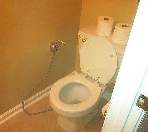 Powder room toilet