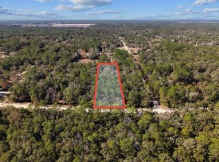 10950 NE 112th St, Archer, FL 32618