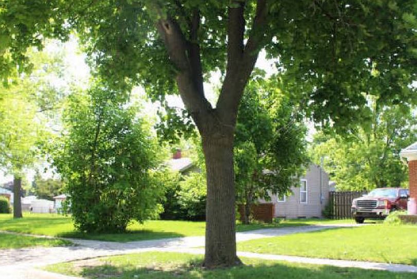 2nd image of 4512 Quincy Dr