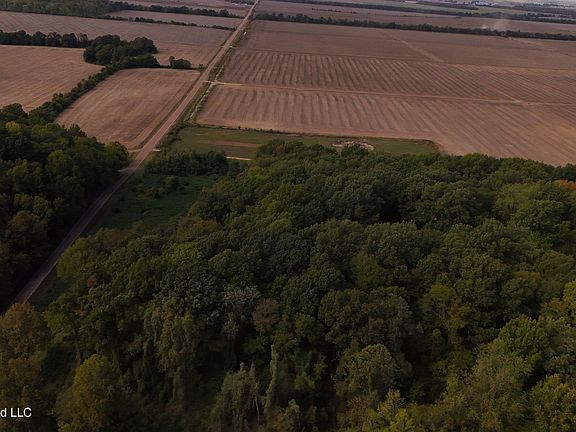 2nd image of Bluff Rd