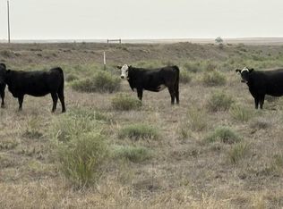 Lot J County Road 43 and 96, Pierce, CO 80650