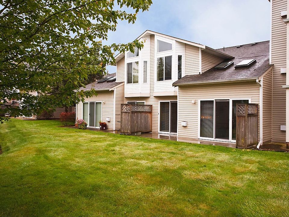Back lawn with patio view