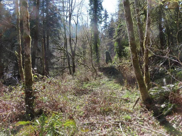 Kalama River Rd, Kalama, WA 98625