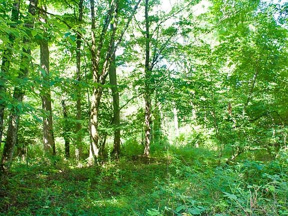 2nd image of 0 Belcher Rd