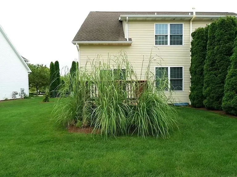 104 Jules Dr — Photo 14