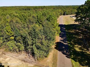 Chestnut St, Philadelphia, MS 39350