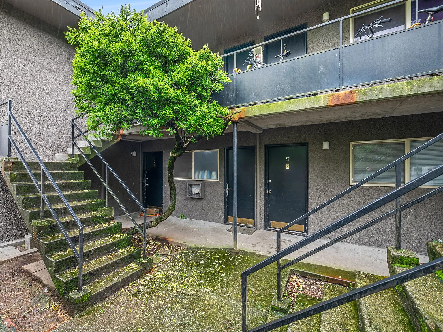 Chelsye Apartments — Photo 3