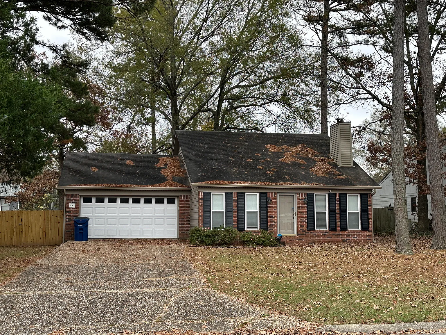 3 bed, 1176 sqft, $1,675 — Photo 2