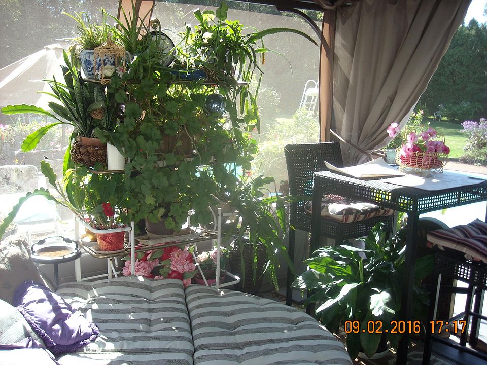 170 Mill Plain Rd Branford, CT, 06405 Apartments for Rent Zillow