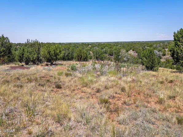 8622 Cox Dr, Show Low, AZ 85901