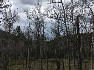 000 Coyote Cir, Black Hawk, CO 80422