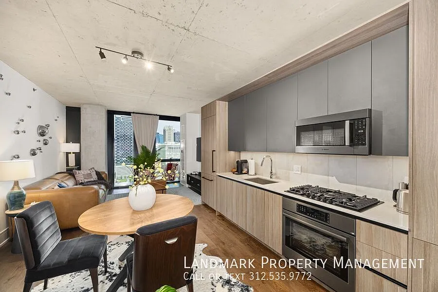 234 W Polk St Unit 2508 — Photo 2