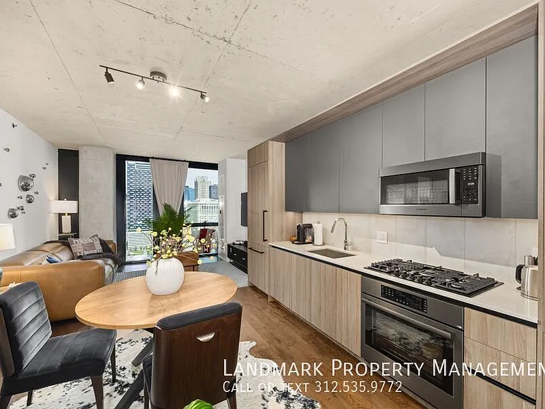 234 W Polk St #2508 — Photo 2