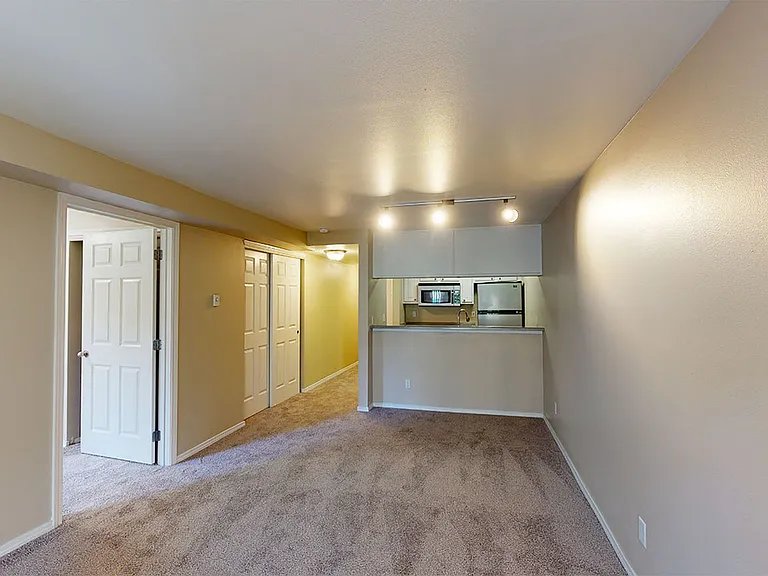 Apartment kitchen with stainless steel appliances in select homes, dining and living room with plush carpet flooring.