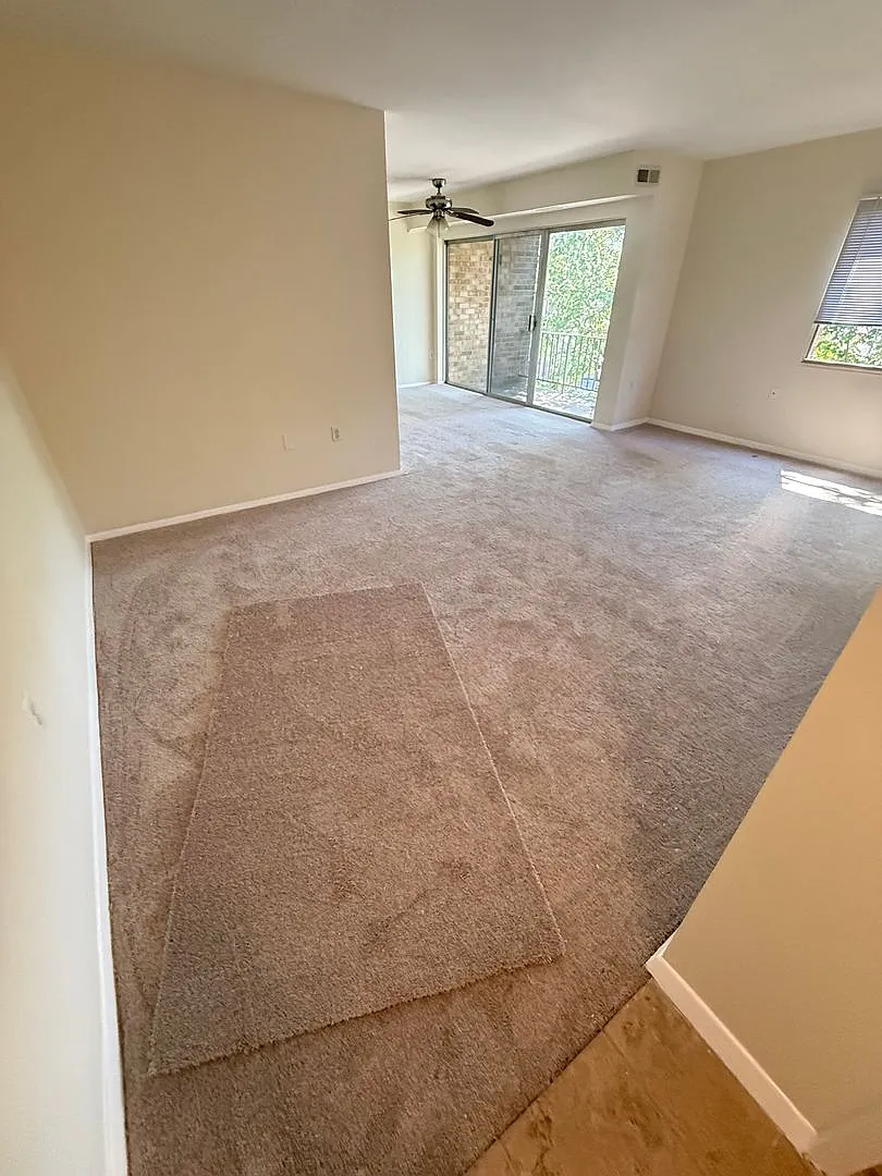 Amazing 2 bedroom/ 1 Bathroom All Utilities Included — Photo 3