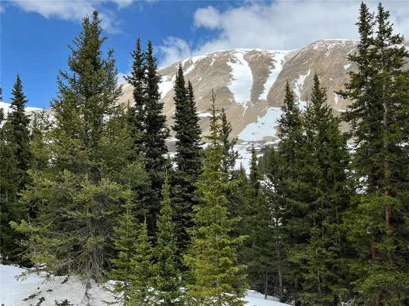 179 Silver Horseshoe Rd, Fairplay, CO 80440