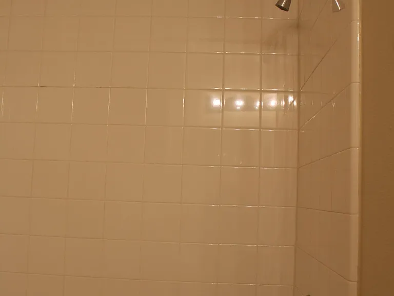 Upstairs bath porcelain tiled shower