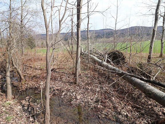 2nd image of 600 Woods Road South