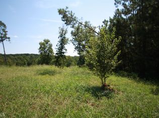 385 Willow Pointe Dr, Dallas, GA 30157