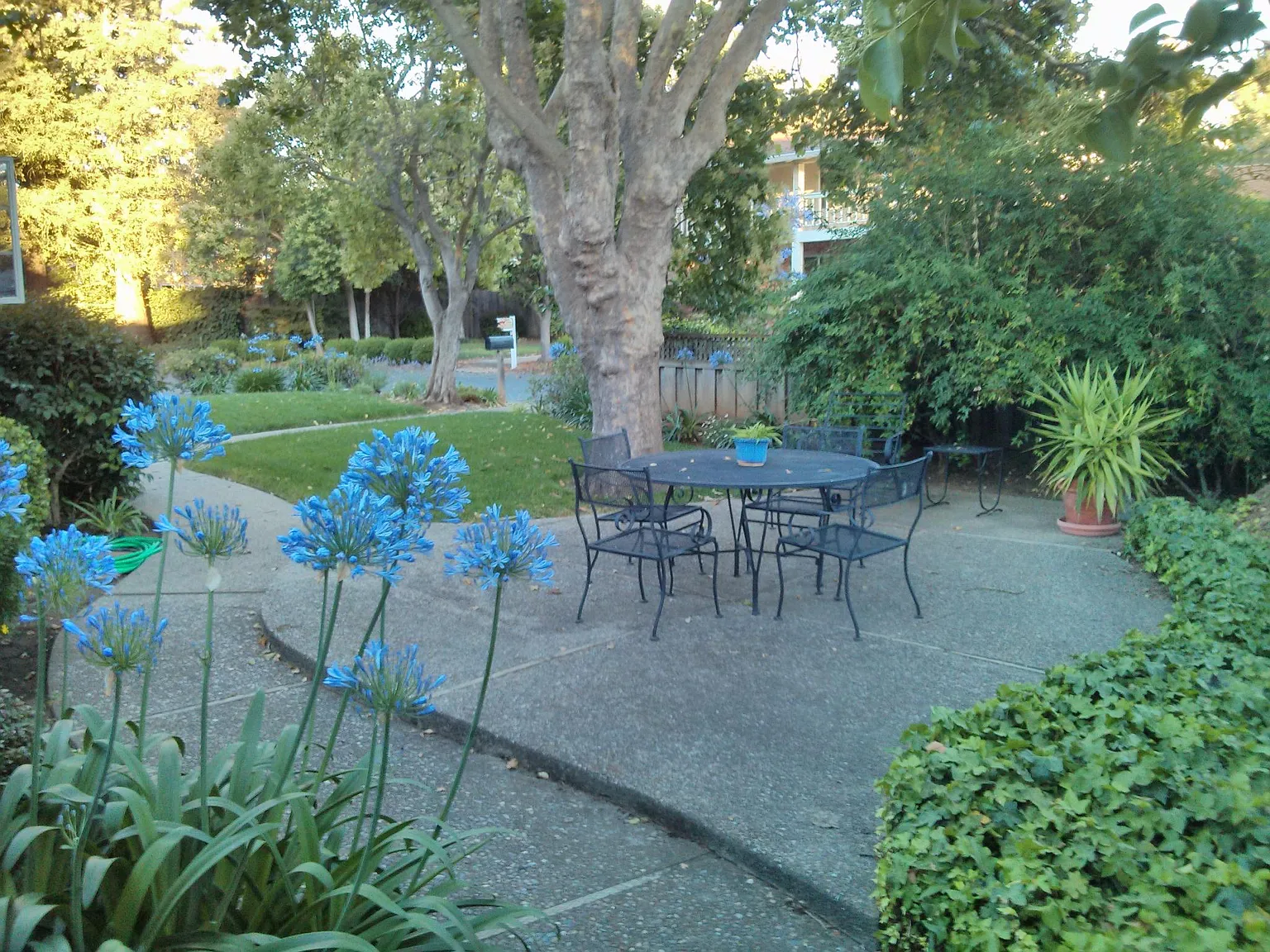 5 bed, 4.5 bath, 3300 sqft, $10,500 — Photo 2