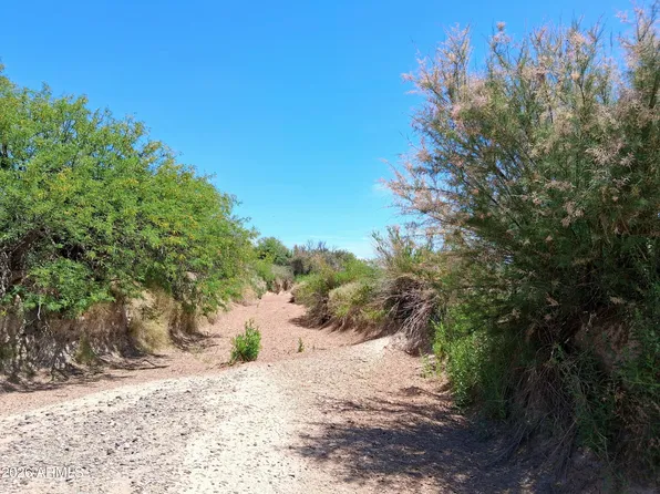 TBD N Mahan Road #2, San Simon, AZ 85632