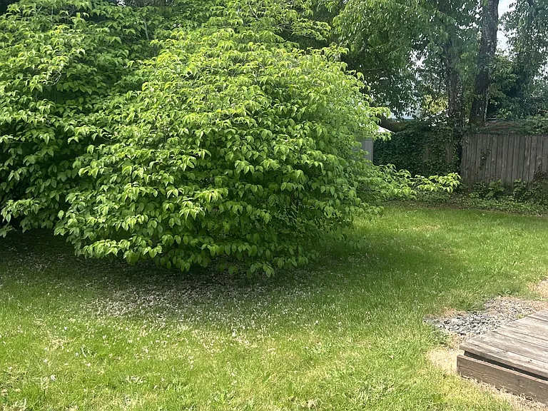 516 NW Forest St — Photo 31