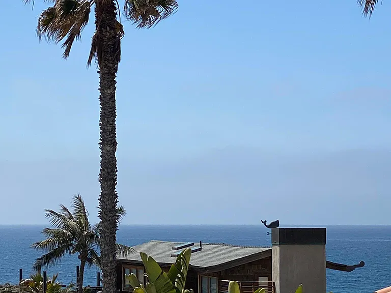 4828 Bermuda Ave — Photo 44