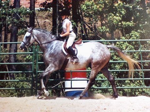 Riding lessons for children & adults available at close by stables.